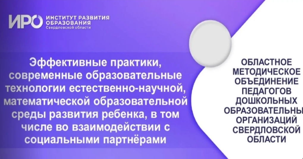 Эффективные практики педагогов Свердловской области   в организации познавательно-исследовательской деятельности